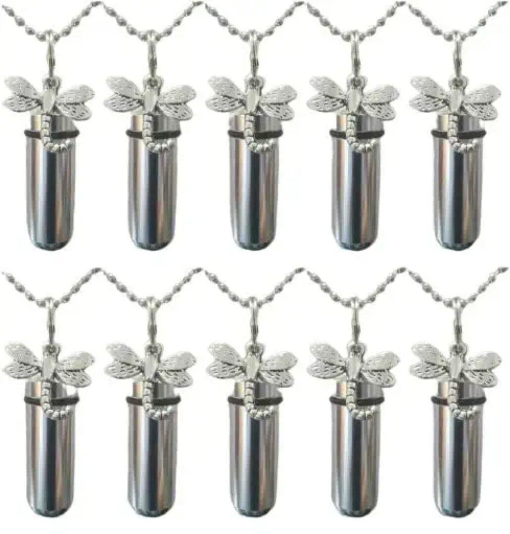 Lovely Set Of TEN Polished Dragonfly CREMATION URN NECKLACES on 24